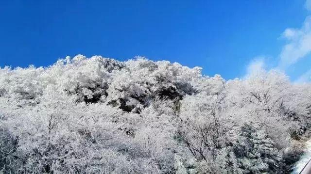 恶灵附身2