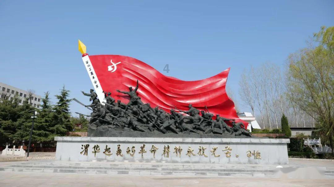 救援受困的老虎